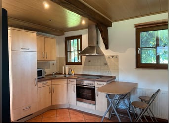 Schöne 1,5-Zimmer-Wohnung auf idyllischem Pferdehof zu vermieten Schöne 1,5-Zimmer-Wohnung auf idyllischem Pferdehof zu vermieten