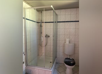 Schöne 1,5-Zimmer-Wohnung auf idyllischem Pferdehof zu vermieten Schöne 1,5-Zimmer-Wohnung auf idyllischem Pferdehof zu vermieten