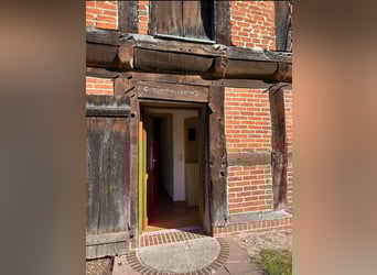 Schöne 1,5-Zimmer-Wohnung auf idyllischem Pferdehof zu vermieten Schöne 1,5-Zimmer-Wohnung auf idyllischem Pferdehof zu vermieten