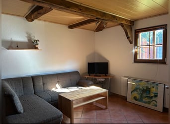 Schöne 1,5-Zimmer-Wohnung auf idyllischem Pferdehof zu vermieten Schöne 1,5-Zimmer-Wohnung auf idyllischem Pferdehof zu vermieten
