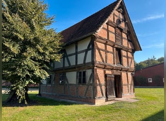 Schöne 1,5-Zimmer-Wohnung auf idyllischem Pferdehof zu vermieten Schöne 1,5-Zimmer-Wohnung auf idyllischem Pferdehof zu vermieten