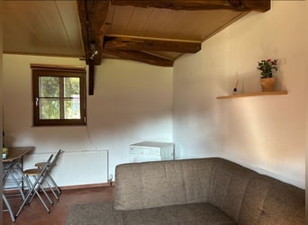 Schöne 1,5-Zimmer-Wohnung auf idyllischem Pferdehof zu vermieten Schöne 1,5-Zimmer-Wohnung auf idyllischem Pferdehof zu vermieten