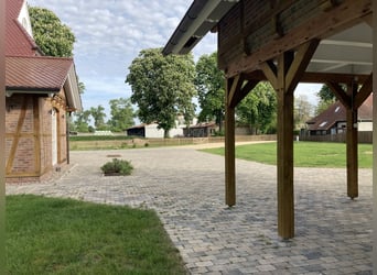 TRAUMHAFTES ANWESEN IN BRANDENBURG, Kaufpreis gegen Gebot  - 379-24 TRAUMHAFTES ANWESEN IN BRANDENBURG, Kaufpreis gegen Gebot  - 379-24