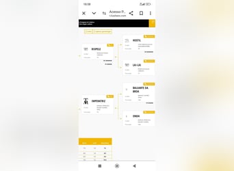 Lusitano, Stallion, 2 years, Grey